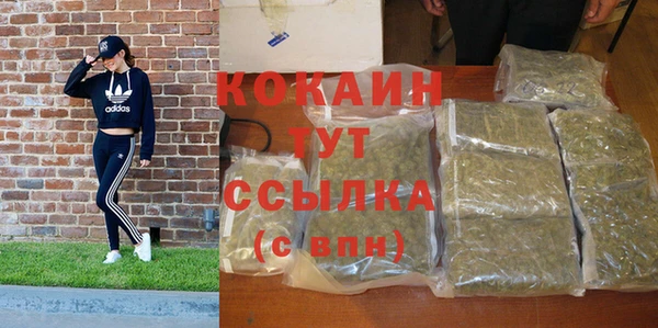 твердый Верея