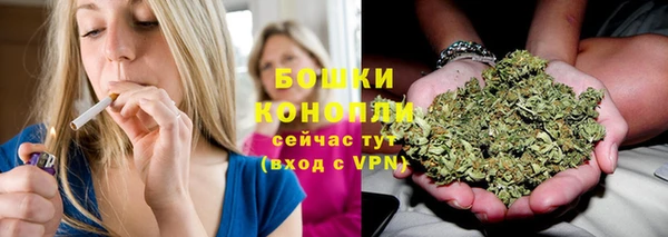 шишки Бугульма