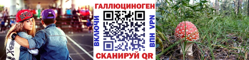 Купить где  Оханск  Галлюциногенные грибы Psilocybine cubensis 